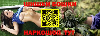 МДПВ Ирбит