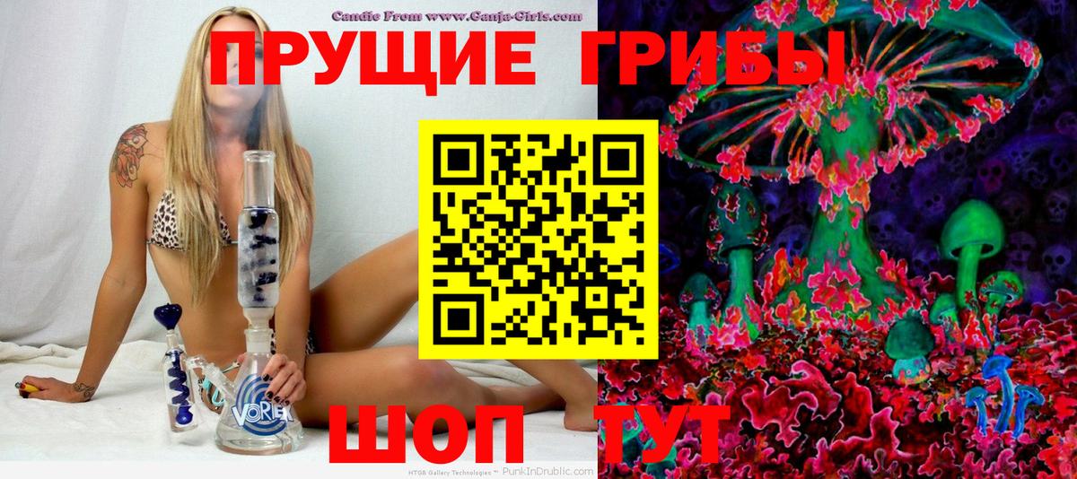 Псилоцибиновые грибы прущие грибы  Вход с VPN  Железногорск 